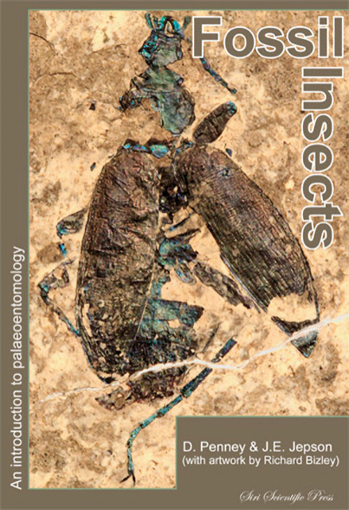Fossils Insects